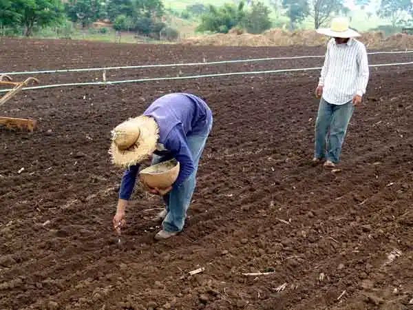 Aposentadoria Híbrida por Idade: Boas notícias!