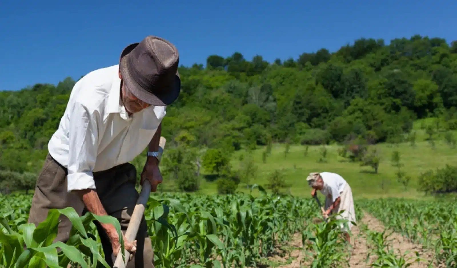 Reforma: aposentadoria rural - veja o que muda