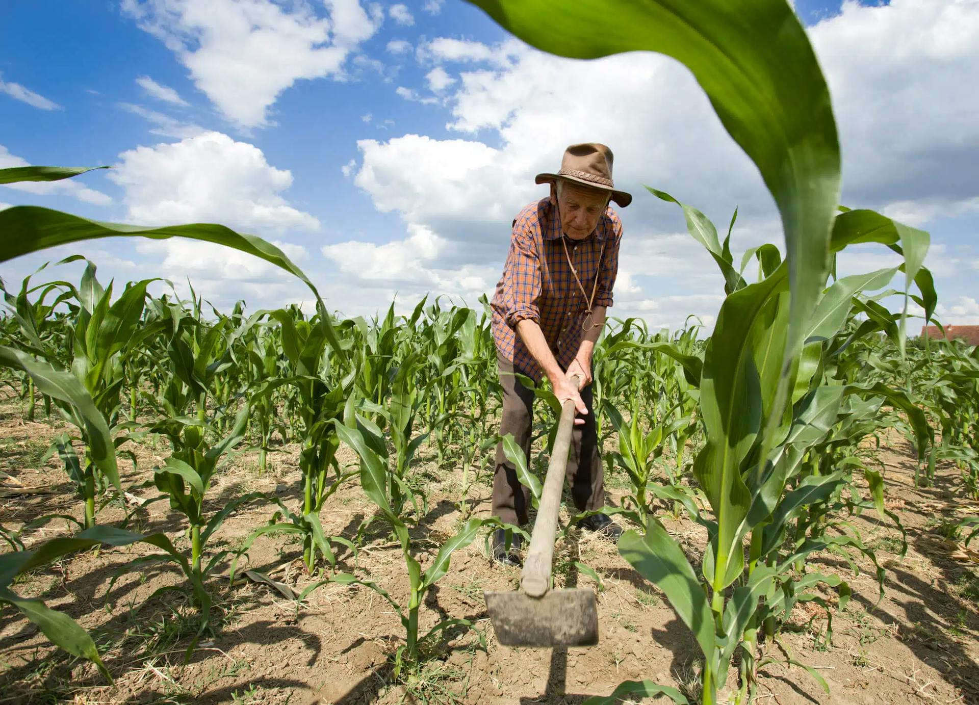 TNU revisa entendimento e reconhece tempo rural remoto para aposentadoria por idade híbrida