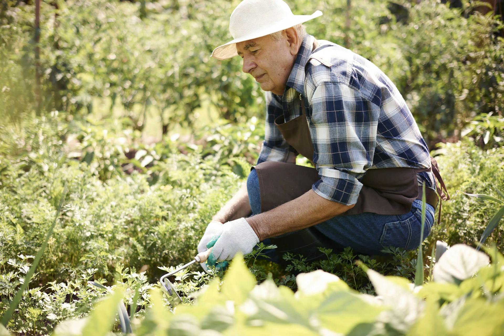 Trabalhador rural segurado especial pode ter empregados?