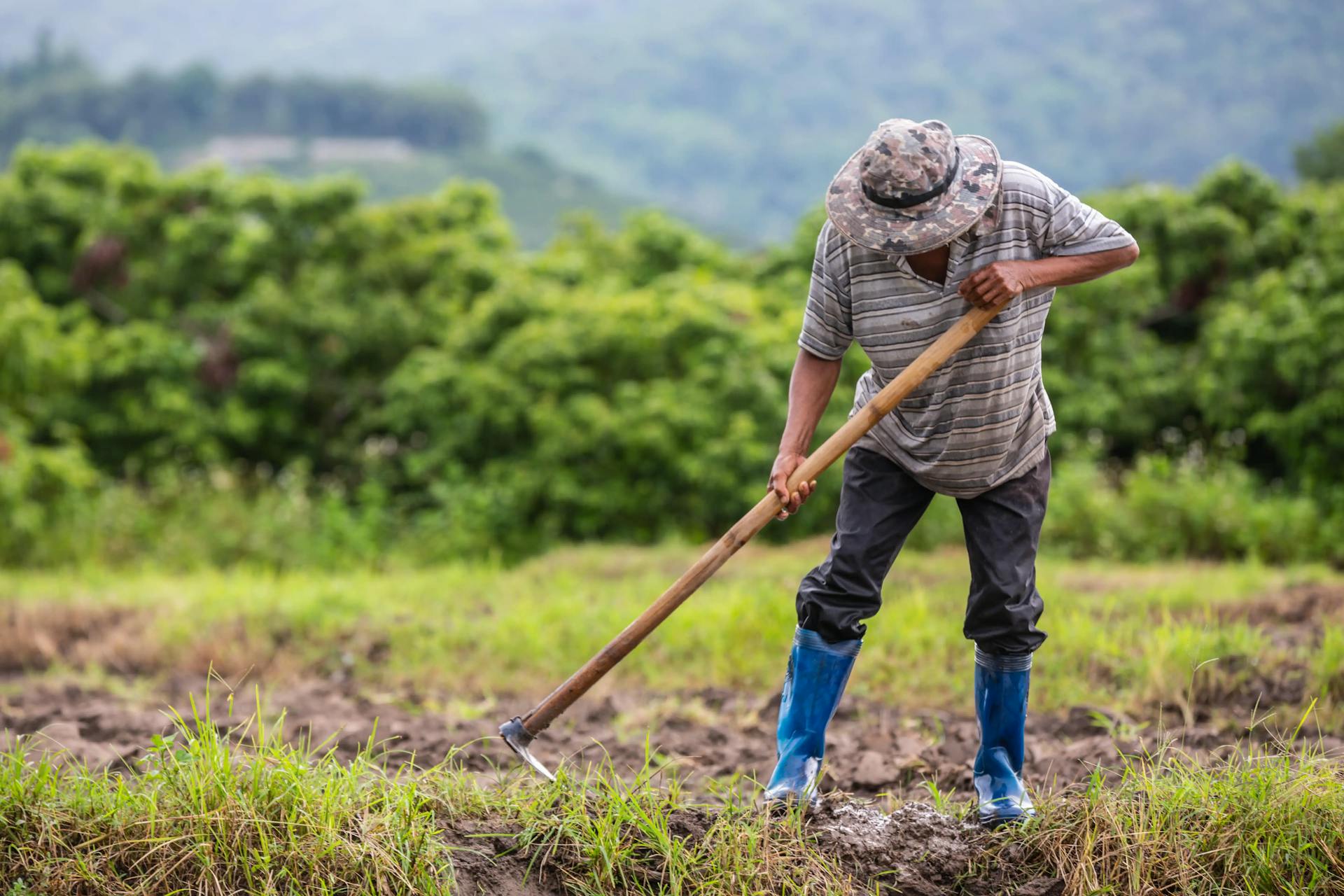 TRF1: Certidão da Funai serve como prova documental para concessão da Aposentadoria por Idade Rural