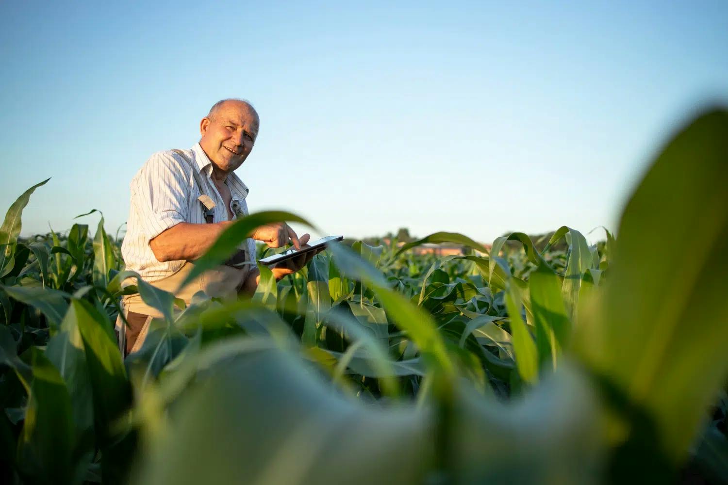 Prova da atividade rural: Documentos NÃO precisam abranger todo o período requerido