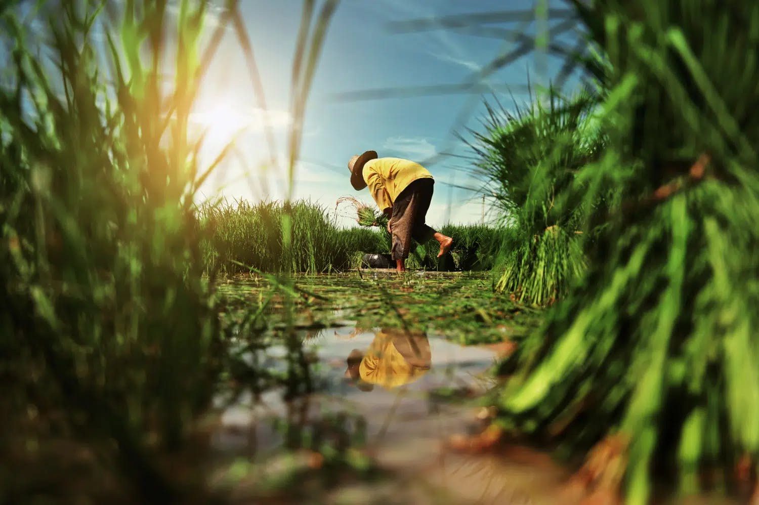 TRF1 nega Aposentadoria Rural para segurado com vínculos urbanos