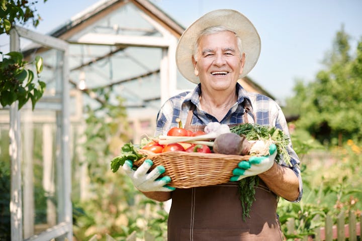 Imagem relacionada a notícia Documentos para comprovar atividade rural no INSS