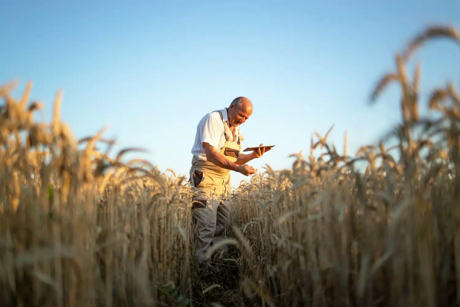 TRF1: Aposentado por Idade Rural não tem direito ao adicional de 25%