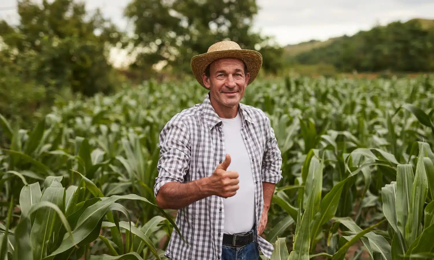 Segurado especial (agricultor) pode ter CNPJ?