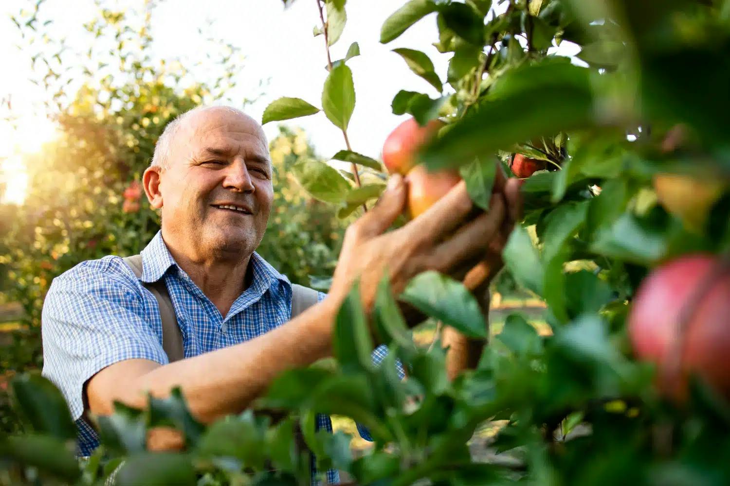 Tempo rural após 1991 para aposentadoria por tempo de contribuição, entenda!