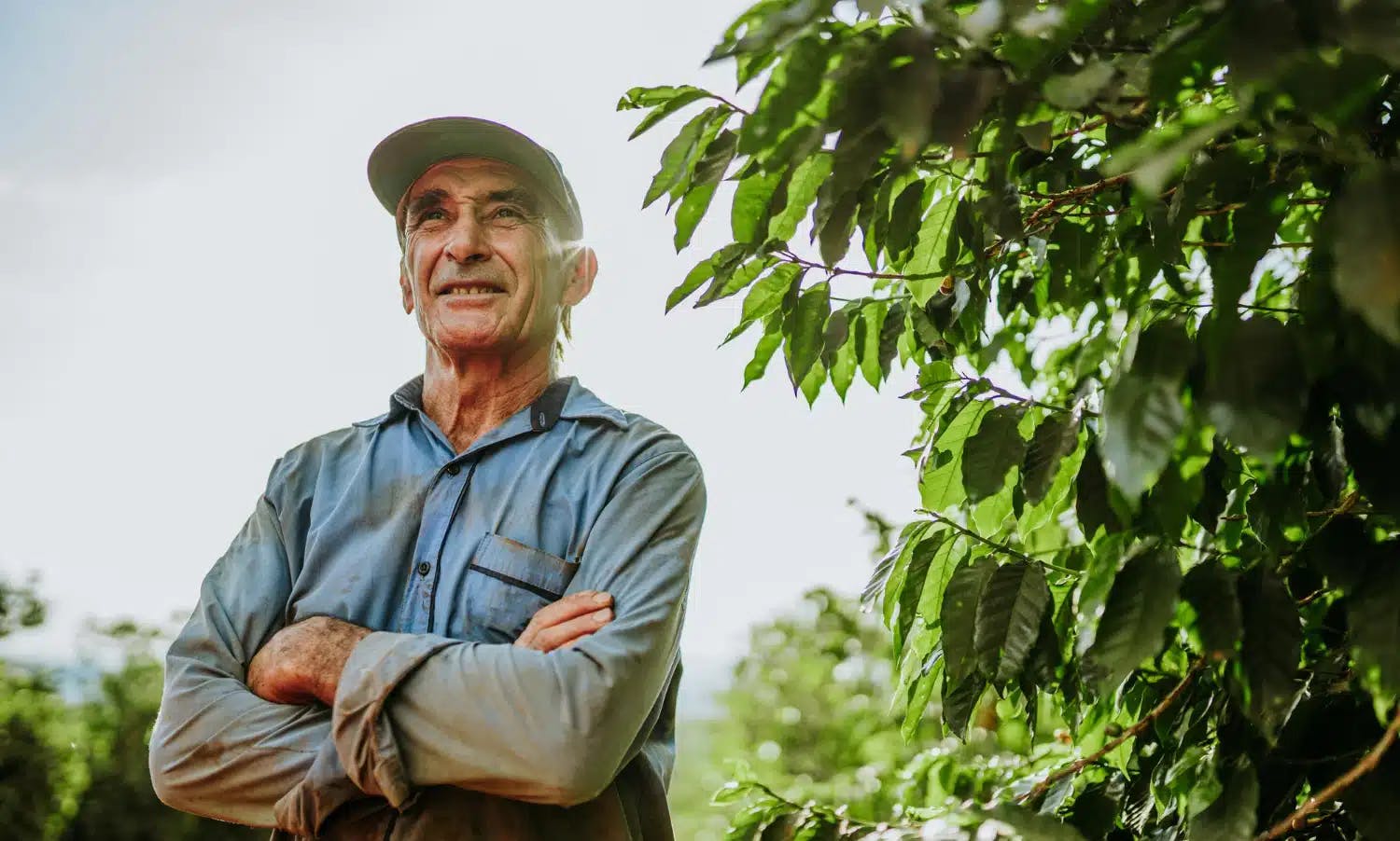 Alteração de regra da Previdência para produtor rural é aprovada