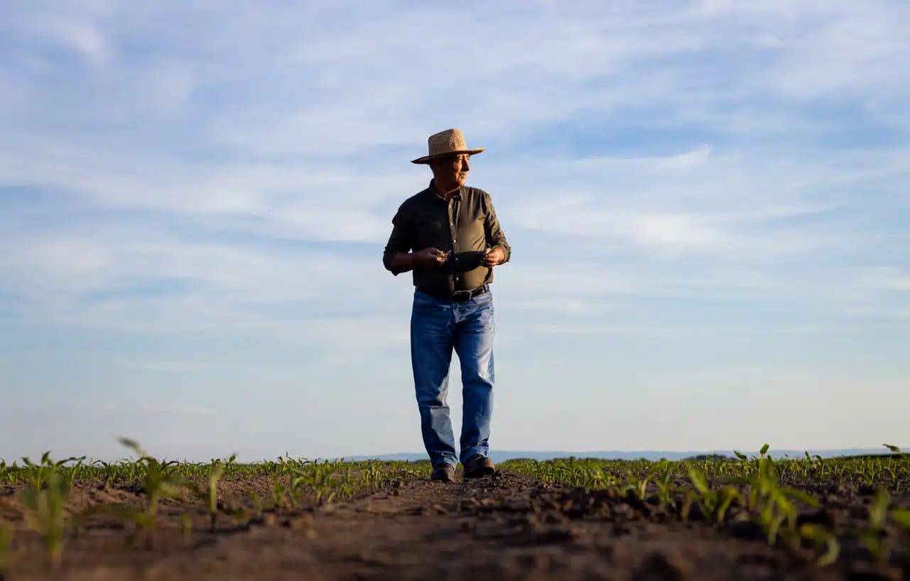 Projeto muda regra para incluir produtor rural como segurado especial