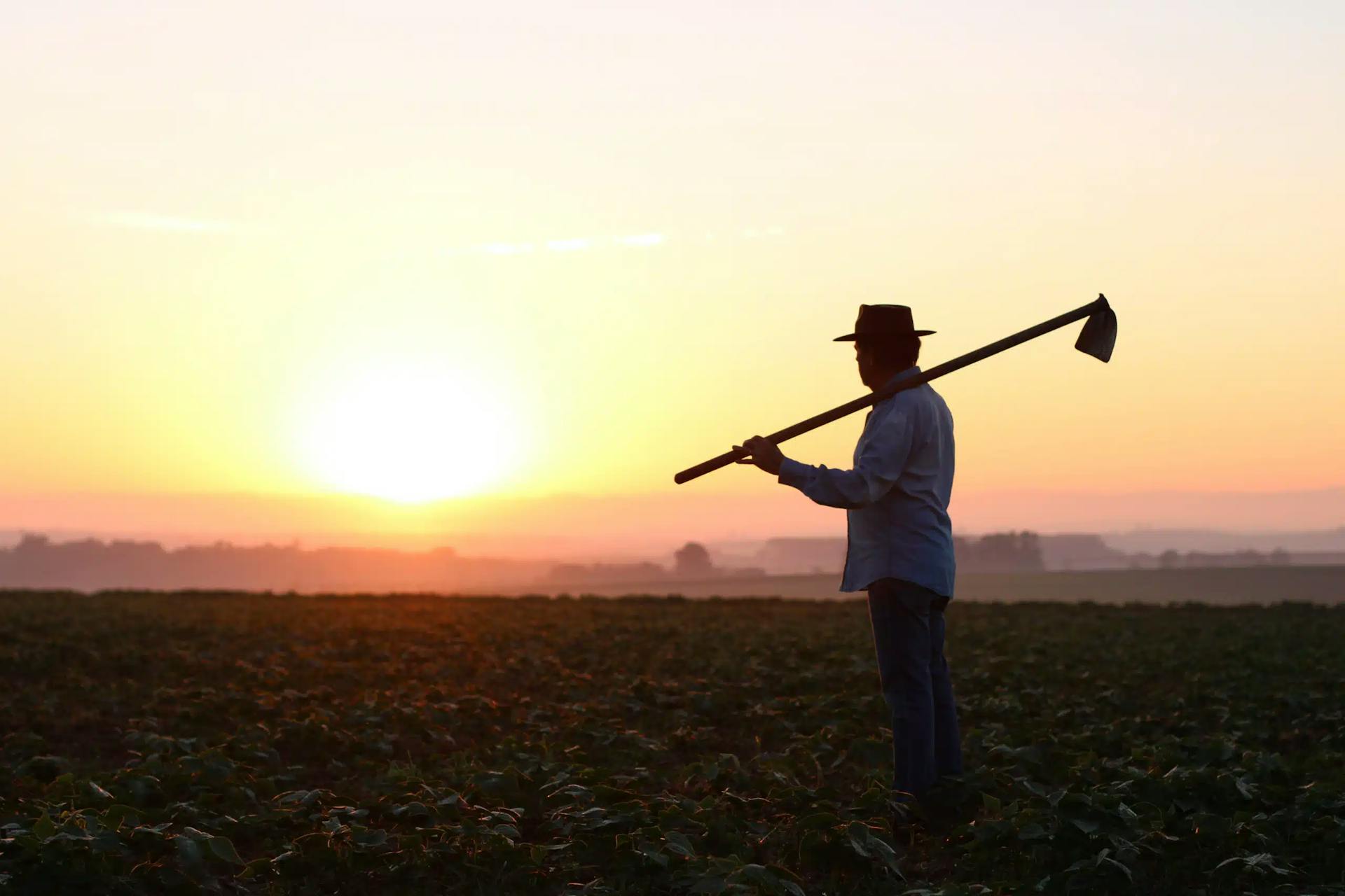 trabalhador rural segurando enxada olhando para o horizonte