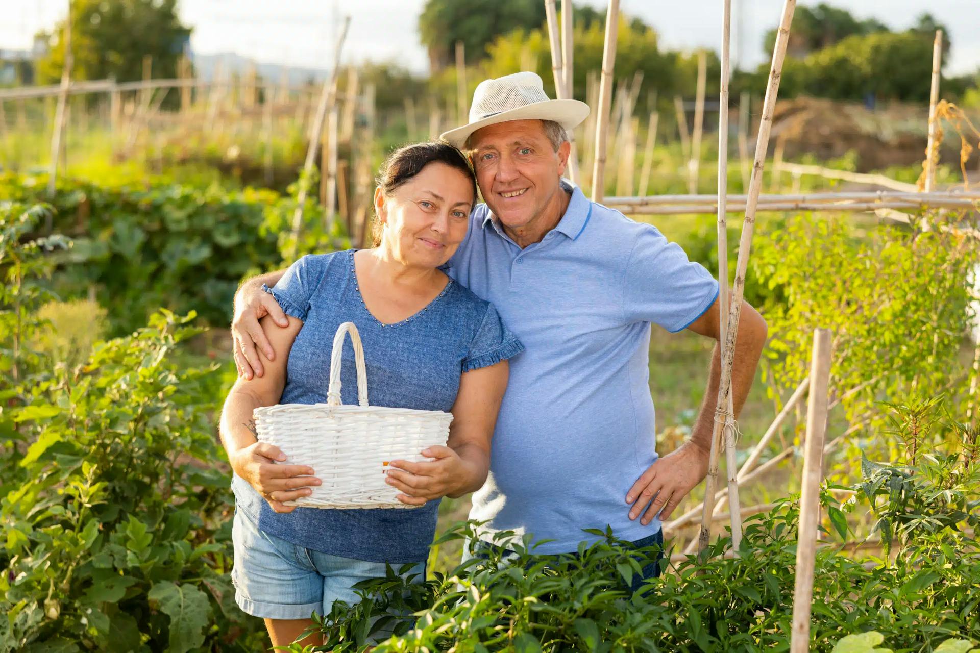 Esposa de produtor rural tem direito a aposentadoria? Entenda